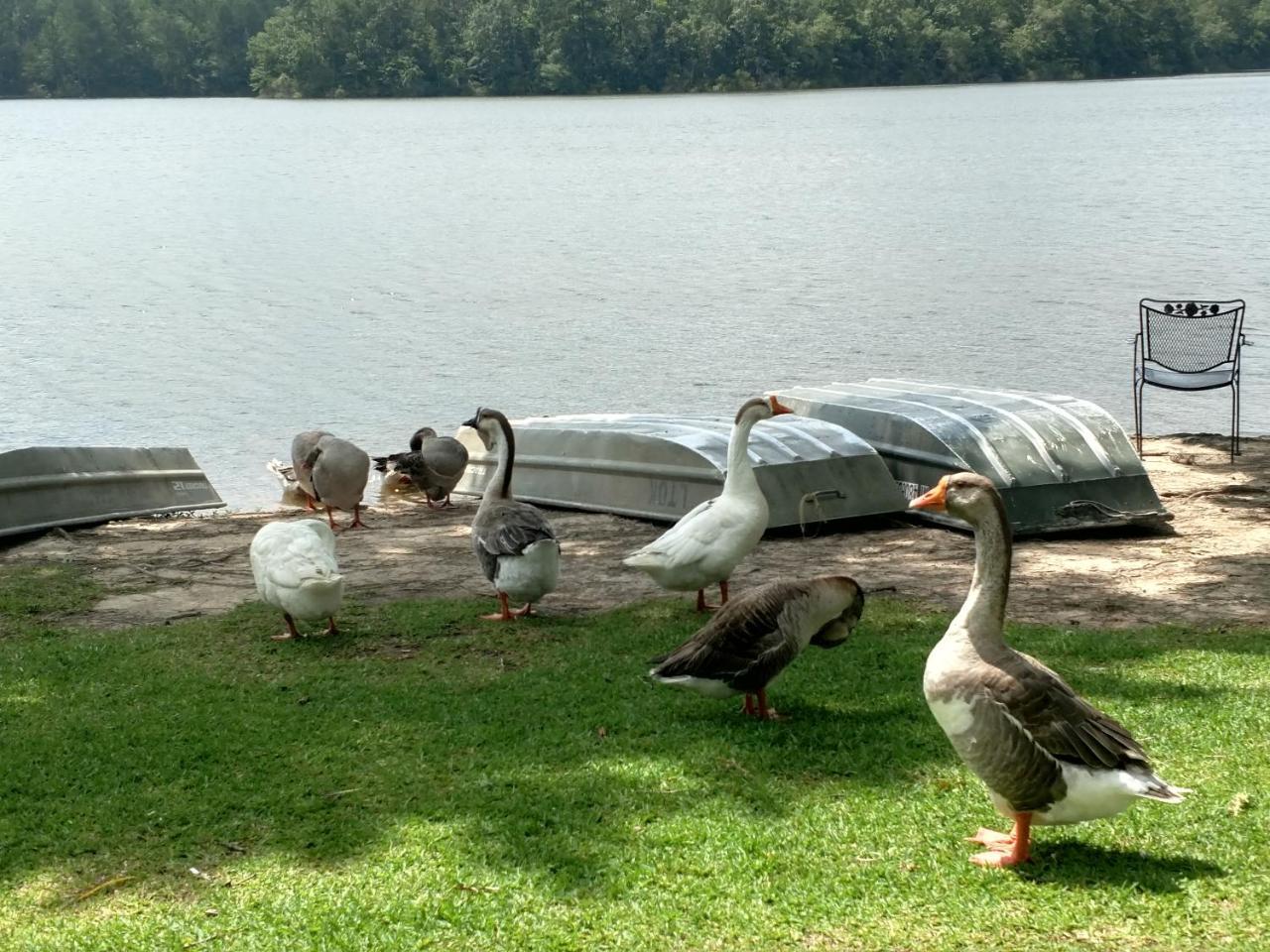 Lake Tiak - O'Khata Resort Louisville Bagian luar foto